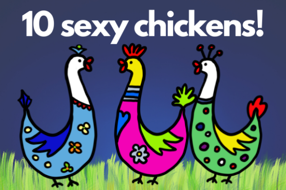 10 Chickens CLIPART Illustrations Png: Farmhouse Charm for Your Projects