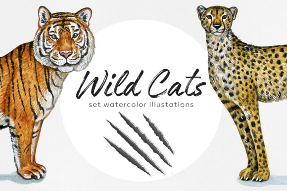 Celebrate the Year of the Tiger with Wild Cat Watercolor Art