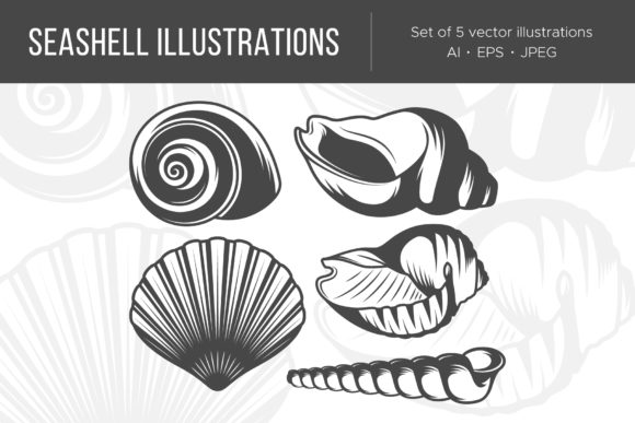Seashells Illustrations: Coastal Vector Assets for Designers