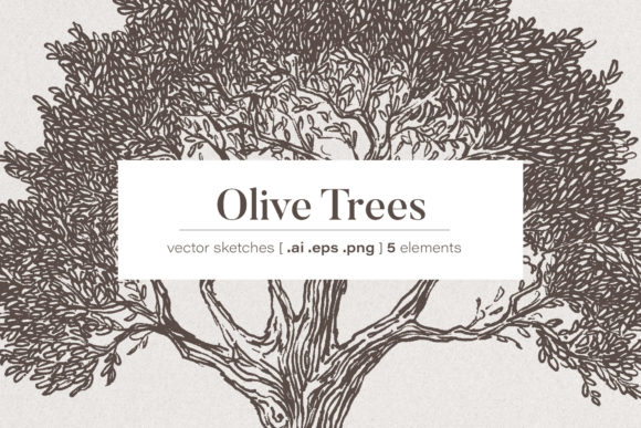 Timeless Botanical Art: Olive Tree Illustrations for Designers
