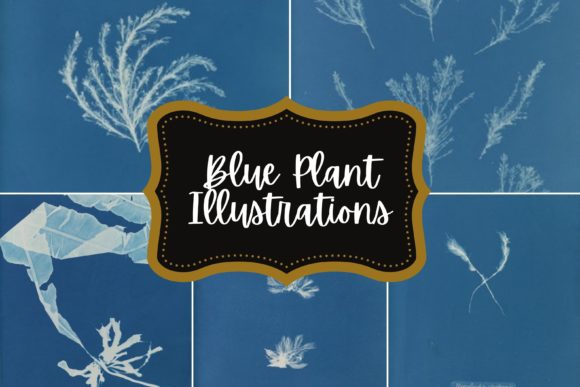 Timeless Elegance: Blue Plant Illustrations for Modern Design