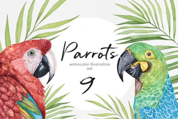 Vibrant Watercolor 9 Parrot Bird Illustrations for Designers