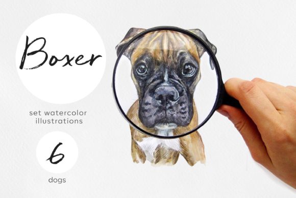 Watercolor 6 Boxer Dogs Illustrations: Vibrant Art for Your Brand