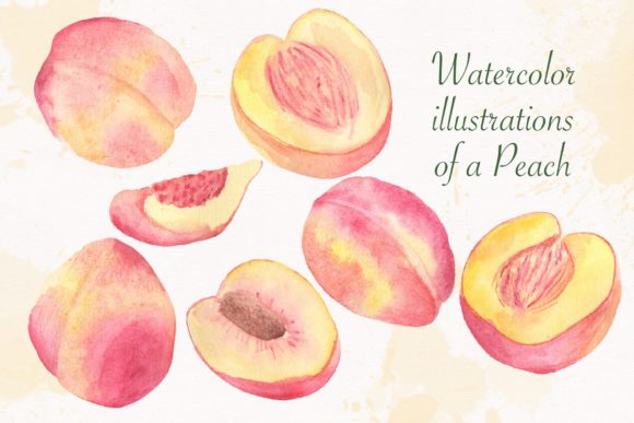 Watercolor Illustrations French Peach: Soft, Versatile Design Assets
