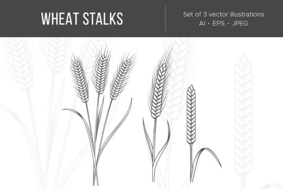 Wheat Stalks Illustrations Set: Beyond a Simple Graphic